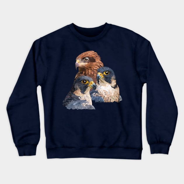 Hawks Crewneck Sweatshirt by obscurite